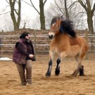 Spielen mit Tarek Spielen mit Tarek