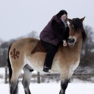 Reiten mit Belohnung