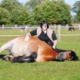 Interview mit HORSEtoday.de über "It's Showtime"