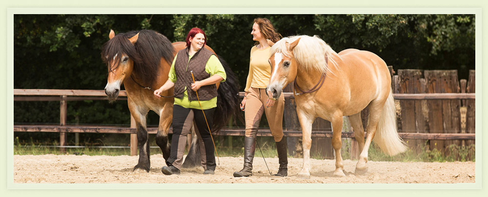 Unterricht, Kurse, Coaching zum Thema Clickertraining und Zirkuslektionen