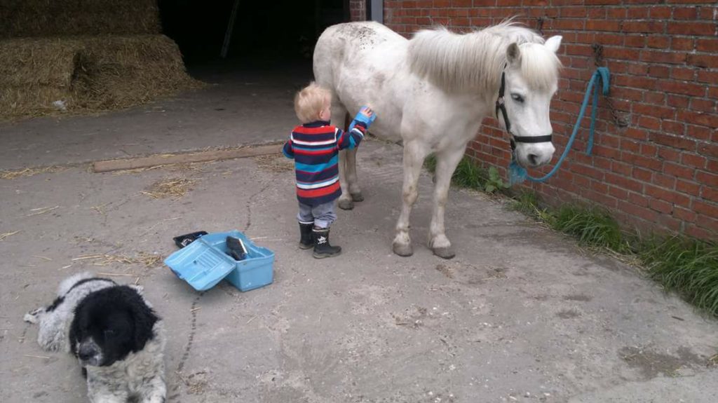 Kind und Pony zu einem guten Team machen © Nicole Peitz