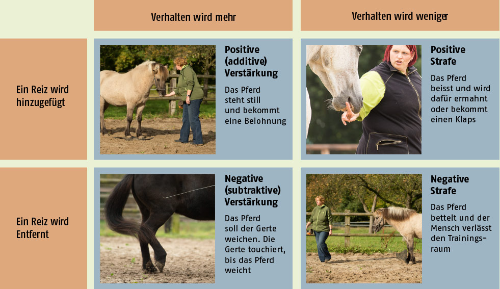 Die vier Quadranten der operanten Konditionierung