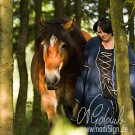 Ein Spaziergang im Wald ...