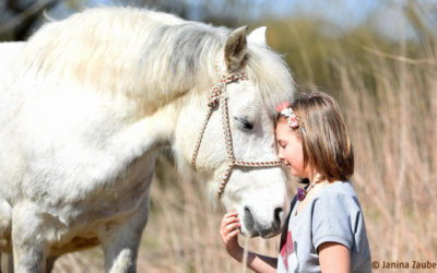 Achtsamer Umgang von Kind und Pferd