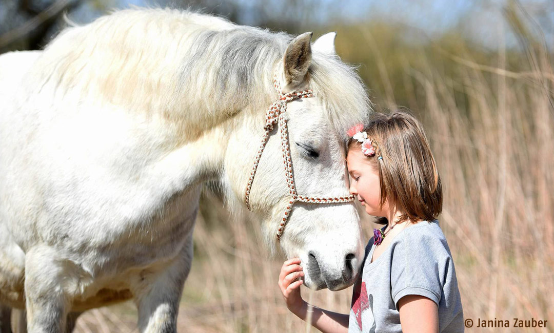 Achtsamer Umgang von Kind und Pferd