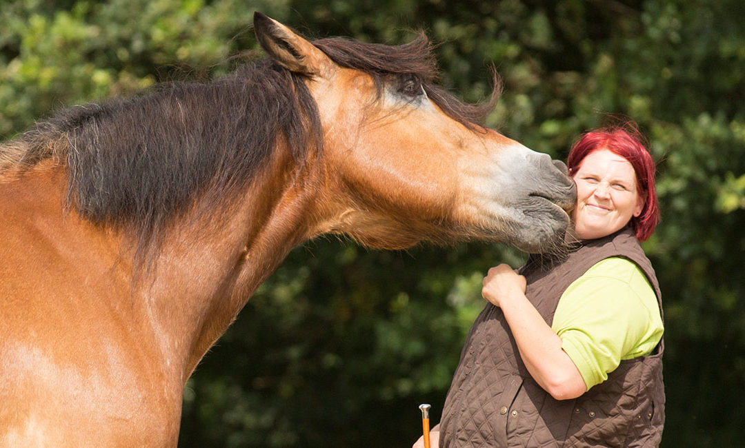 The emotion of the horse matters