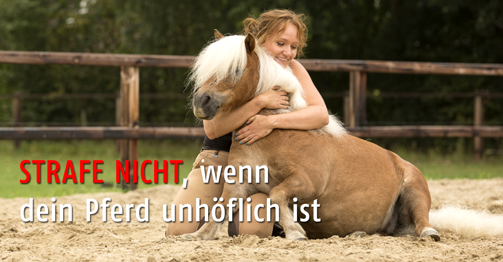 STRAFE NICHT, wenn dein Pferd unhöflich ist STRAFE NICHT, wenn dein Pferd unhöflich ist