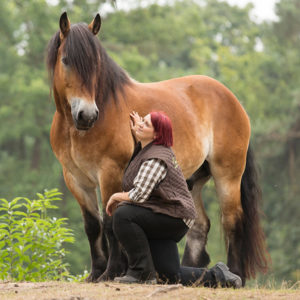 Angst beim Pferd