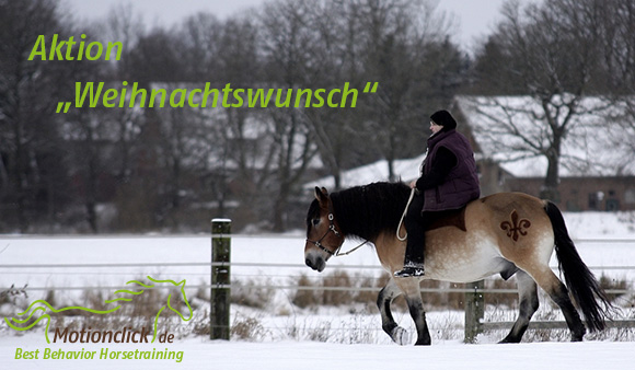 weihnachtswunsch2